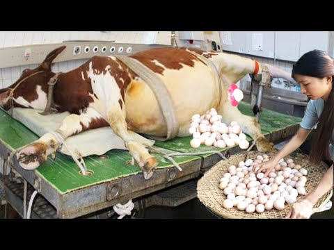 QUANTUM FARMING: AI Predicts Exact HARVEST DATE 8 Months Early 🧠🌾 | 2025 BREAKTHROUGH