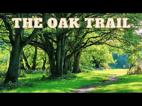 Journey Through the Enchanting Oak Trail: Nature&#039;s Hidden Gem within London!