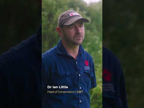 Fynbos Mega Diversity