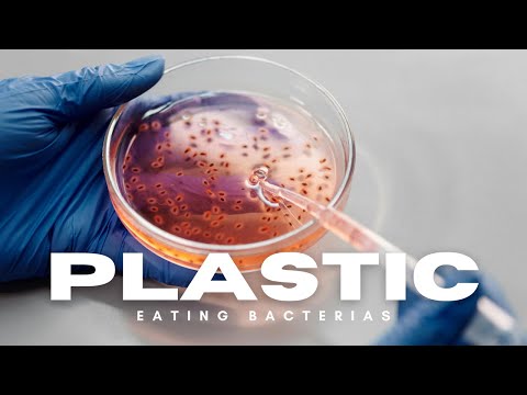 Plastic-Eating Bacteria: Nature’s Secret Weapon Against Pollution