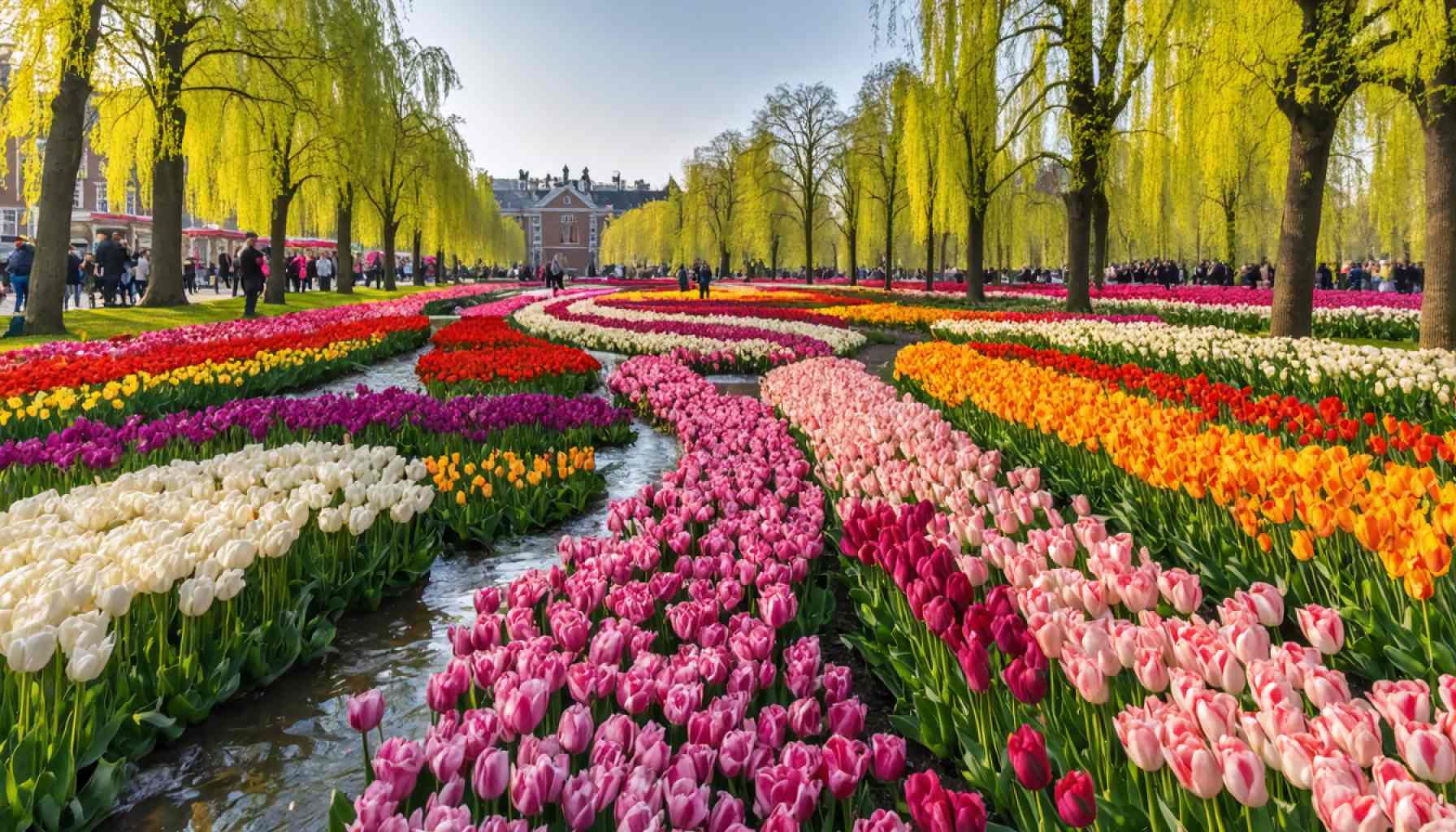 Keukenhof Fiorisce Nuovamente: Un Viaggio attraverso 76 Anni di Splendore Floreale