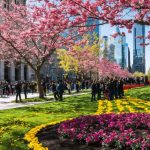 Discover Spring’s Vibrancy: Events You Can’t Miss in the City